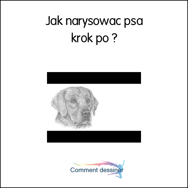 Jak narysować psa krok po